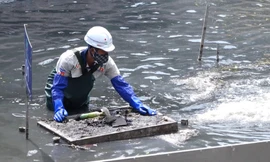 Công nhân dọn rác chuẩn bị thí điểm làm sạch sông Tô Lịch lần 2