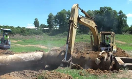 Đồng Nai tìm ống xả thải ra sông sau vụ 1.000 tấn cá chết