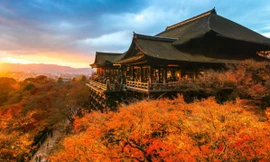 Ngắm mùa thu đẹp hút hồn du khách ở Nhật Bản