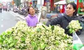 Tiết lộ thu nhập 'khủng' của gánh hàng rong bán hoa bưởi