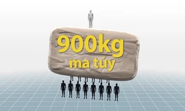 Ba giai đoạn của chuyên án gần 900 kg ma túy