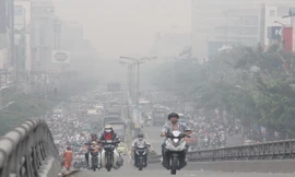 Bệnh có thể gặp do tác hại của bụi siêu mịn PM2.5