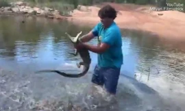 Video: Người đàn ông tóm gọn con cá sấu dài 1,5m bằng tay không