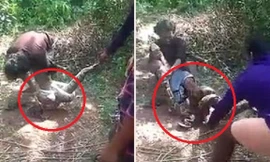 Vật lộn cứu người đàn ông bị trăn khủng siết chặt