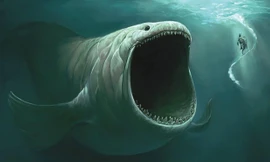 Những bí ẩn có thể bạn chưa biết dưới đáy đại dương