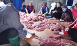 Tận thấy những kẻ vô lương 'hóa phép' lợn chết thành lợn gác bếp