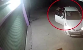 Cẩu tặc đi ô tô, dùng súng điện trộm chó trong vài giây