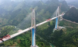 Dự án cầu dây văng có tháp bê tông cao nhất thế giới