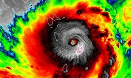 Năm 2019 có thể xuất hiện 10 - 12 cơn bão