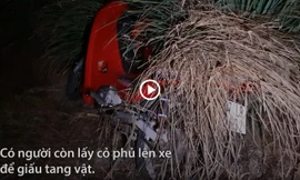 Quái xế phủ cỏ lên xe nguỵ trang khi bị cảnh sát truy đuổi