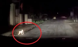 Tài xế ô tô hú hồn khi phát hiện cháu bé bò lổm ngổm ngoài đường