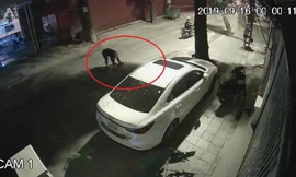 Kẻ bịt mặt liên tiếp ném mắm tôm trộn dầu luyn vào xe ô tô ở Hà Nội