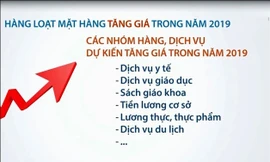 Hàng loạt mặt hàng tăng giá trong năm 2019