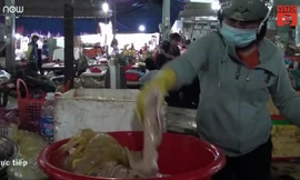 Clip: Kinh hãi thịt, nội tạng thối được gian thương tuồn ra thị trường