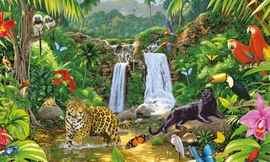 Tầm quan trọng của rừng mưa Amazon