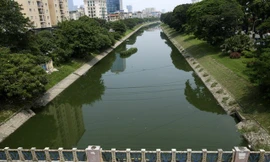 Hà Nội: Sông Tô Lịch giảm mùi, nước chuyển màu xanh
