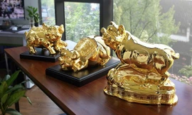 Bộ tượng heo mạ vàng 24K giá hàng chục triệu chơi Tết Kỷ Hợi 2019