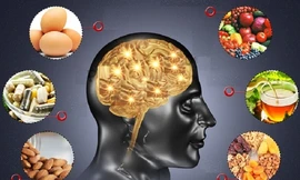 Não tốt hay tệ phụ thuộc món ta ăn hằng ngày