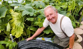 Thăm vườn rau 'siêu to khổng lồ', bí nặng 45 kg, bắp cải 55 kg