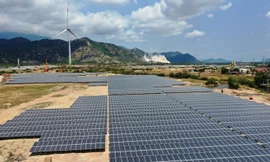Cánh đồng điện mặt trời 7.000 tỷ đồng ở Ninh Thuận