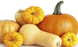 Cách tự chữa giun sán hiệu quả tại nhà