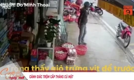 Cảnh giác trộm cắp tháng 'củ mật'