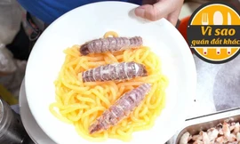 Quán bánh canh tôm tích thu 12 triệu mỗi đêm ở Sài Gòn