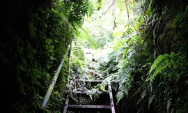 Hà Nội: Bí ẩn hang ngầm dưới đình cổ giáp hồ Tây