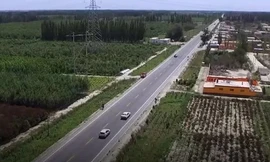 Trung Quốc biến sa mạc khô cằn thành cánh rừng rộng 890.000 hecta