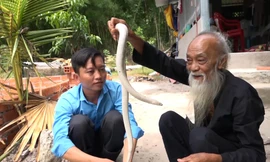 Lão nông nuôi 'bạch xà' làm thú cưng ở An Giang