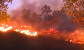 Hơn 15 ha rừng phòng hộ ở Quảng Bình cháy suốt 10 tiếng