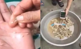 Không còn mẫu thịt nghi nhiễm sán lợn ở trường mầm non Bắc Ninh để điều tra