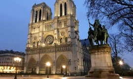 Nước Pháp sẽ cần tới 3.000 cây sồi kích thước lớn để phục dựng Nhà thờ Đức Bà