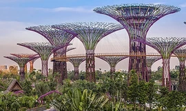 Singapore xây dựng ‘thành phố sinh thái’ thế nào? 