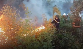 50 ha rừng keo cháy dữ dội ở Phú Yên