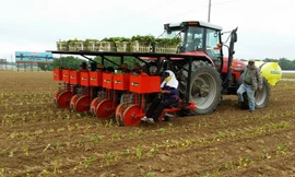 Máy trồng cây siêu tốc có thể hoạt động trên cánh đồng lớn
