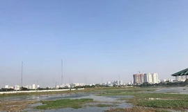 Vì sao dự án làm sạch sông Tô Lịch 800 triệu USD chậm tiến độ?