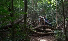 Brazil mở cửa tuyến đường mòn trong rừng dài 8.000 km