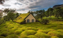 Ngắm nhà cỏ - kỳ quan kiến trúc từ thế kỷ thứ 9 của Iceland