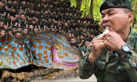 Xem binh sĩ học cách lột da, ăn sống tắc kè để sinh tồn