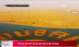 Khám phá vườn hoa lớn nhất thế giới giữa lòng sa mạc