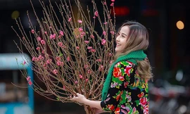 Miền Bắc đón Tết Kỷ Hợi trong thời tiết thế nào?