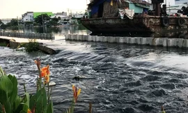 Nước tràn vào nhà dân vì vỡ bờ bao