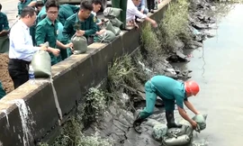 Hàng trăm người gia cố đoạn bờ bao bị vỡ