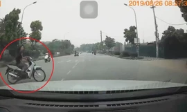 Sang đường kiểu 'tự sát', cô gái trẻ bị tông bay lên nắp capo