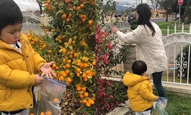 VIDEO: Con trai Đan Trường cùng mẹ tất bật chuẩn bị cho Tết cổ truyền 