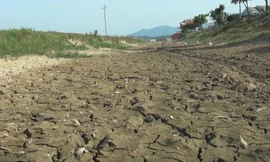 Hàng nghìn hộ dân Quảng Bình thiếu nước sạch vì khô hạn kéo dài