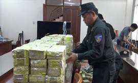 Những vụ ma túy lớn bị bắt ở TP HCM