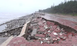Bờ kè trăm tỷ ở Nam Định trước nguy cơ bị sóng biển phá huỷ