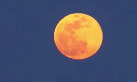 Video: Ngắm siêu trăng tuyết lớn nhất, sáng nhất năm 2019